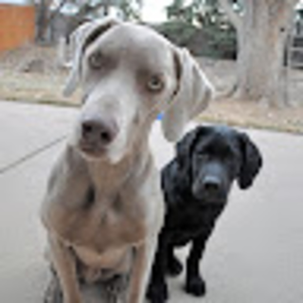 Meet your Posher, Whitney